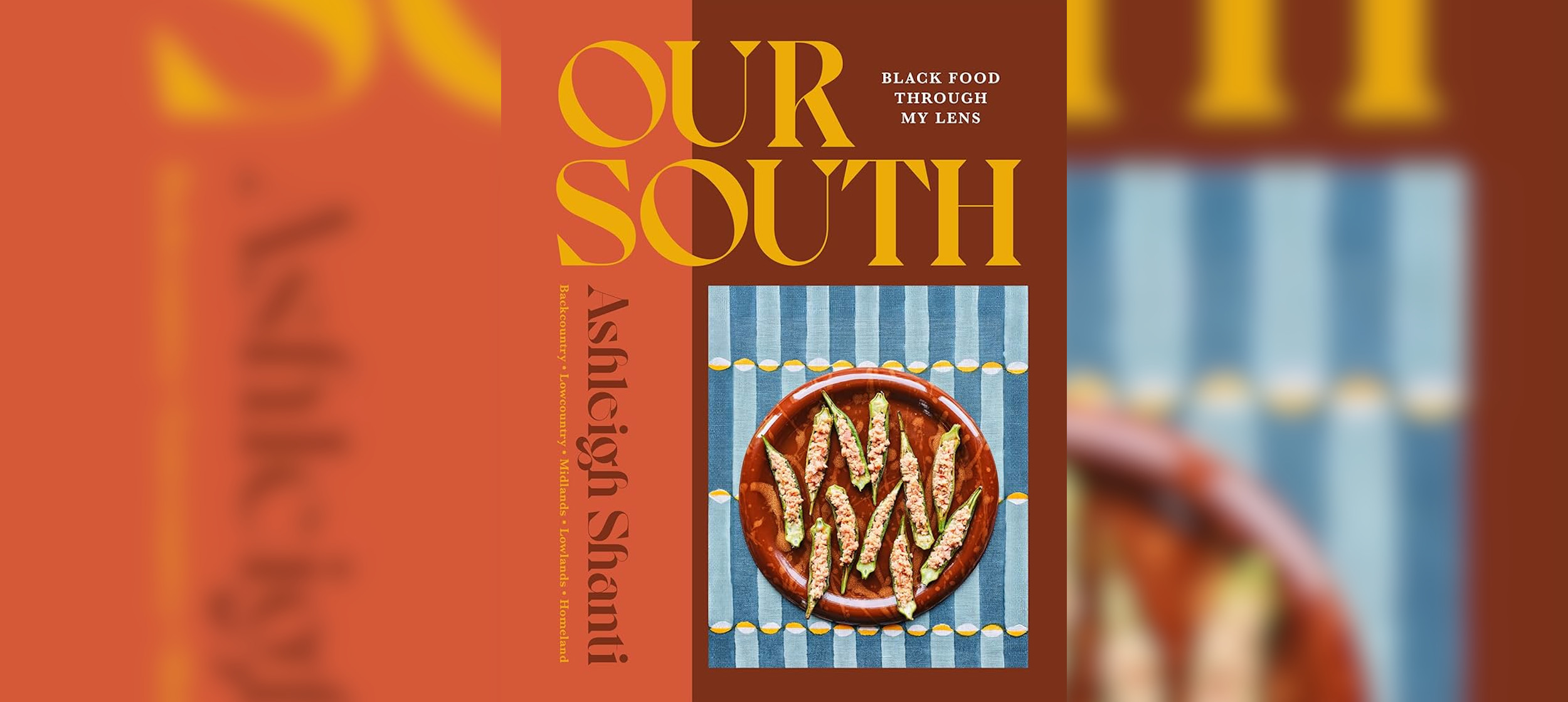 Cover of Our South by Ashleigh Shanti